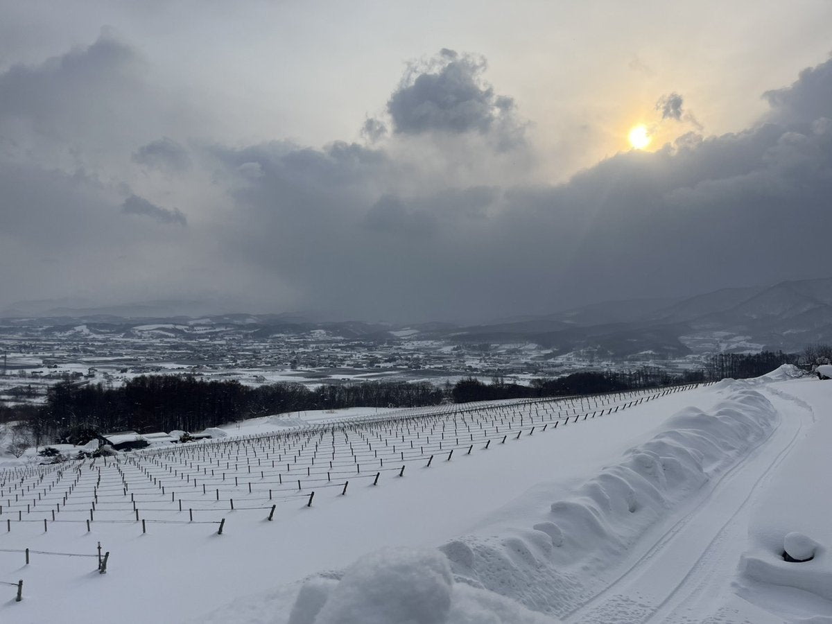 Winter at NIKI Hills on Hokkaidō.